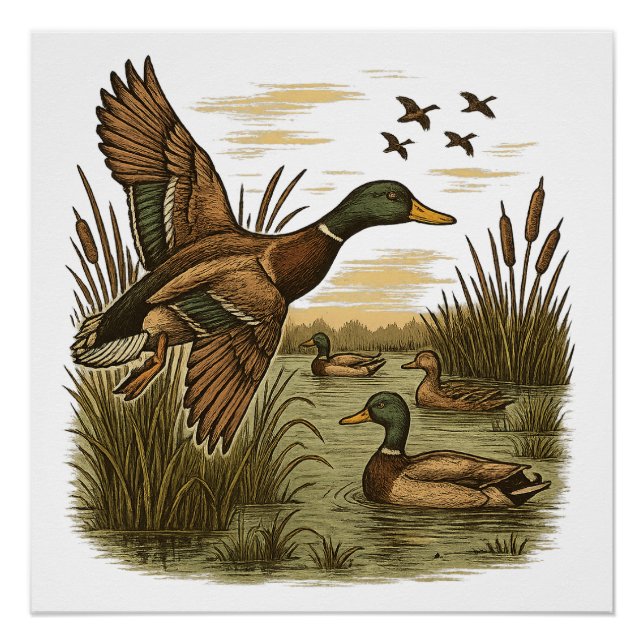 Poster Retro-Flying-Mallard-Duck-Hunting (Devant)