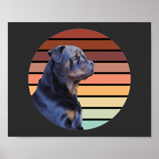Poster Rétro Rottweiler (Devant)