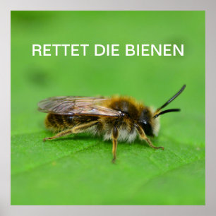 Poster Rettet die Bienen