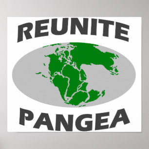 Poster Réunir Pangea