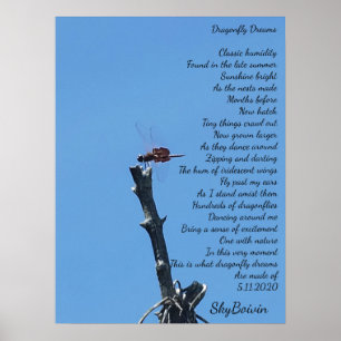 Poster rêve de libellule