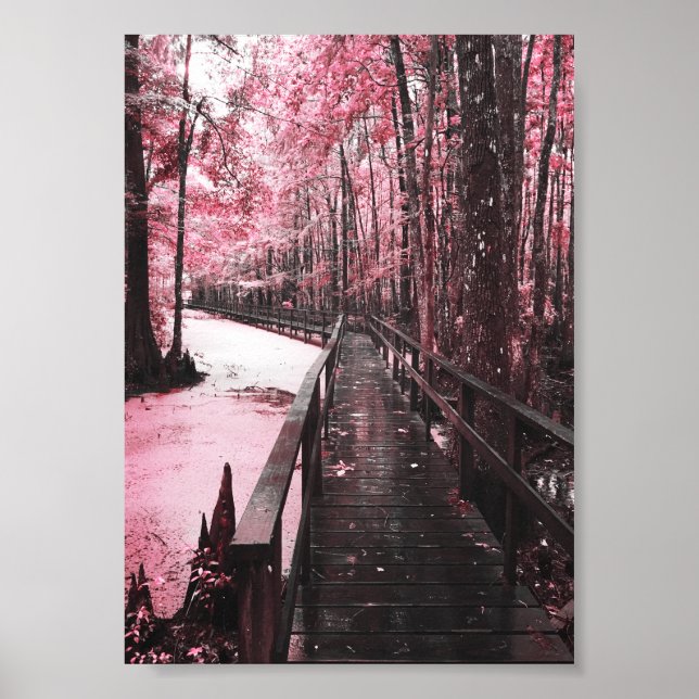 Poster rêve de marécage sain (Devant)