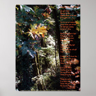 Poster Réveiller la valeur divine