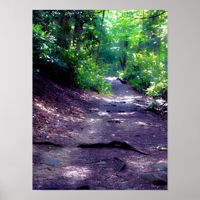 Poster Rêver d'un sentier Randonnée (Devant)