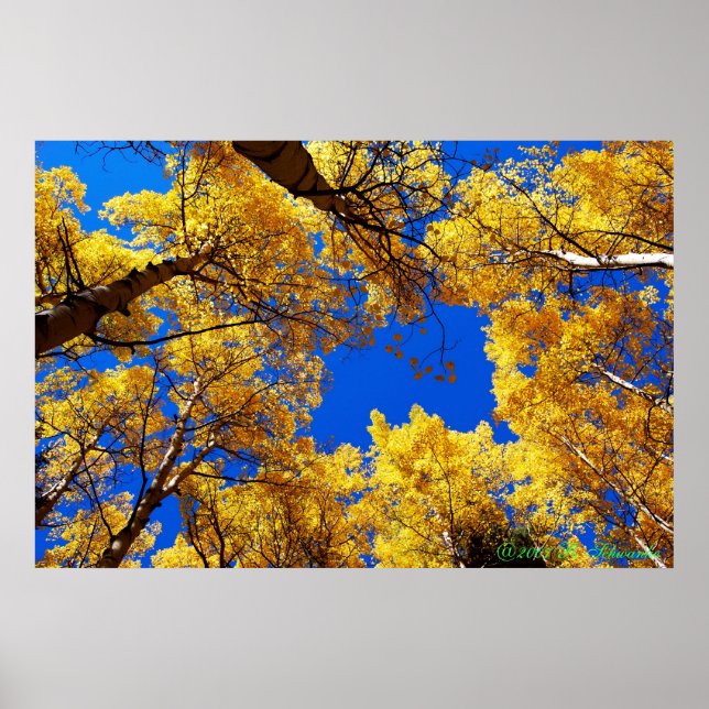 Poster Rêver en couleur (Devant)