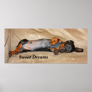 Poster Rêves doux