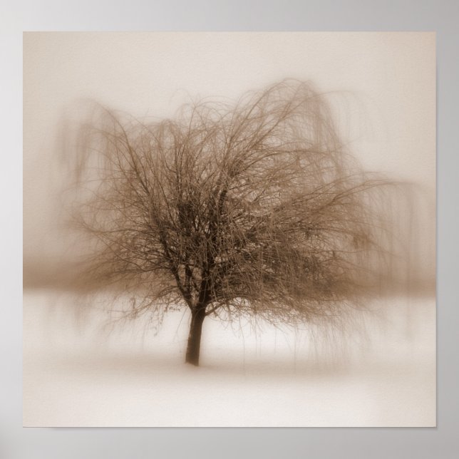 Poster Rêves mystiques (Devant)