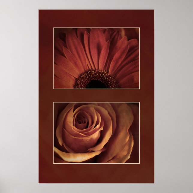 Poster Revêtement Rose de marguerite stylisé Imprimer (Devant)