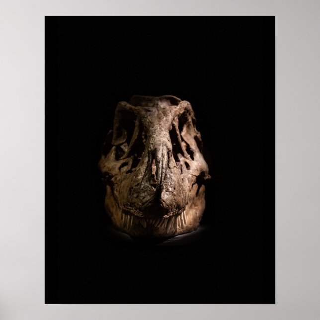 Poster Rex (Devant)