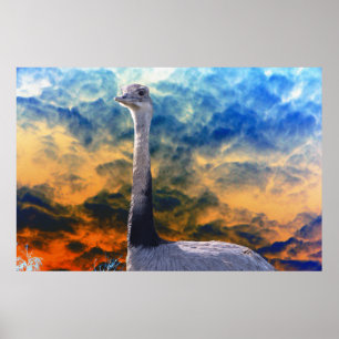 Poster Rhea sur Storm Cloud Sky