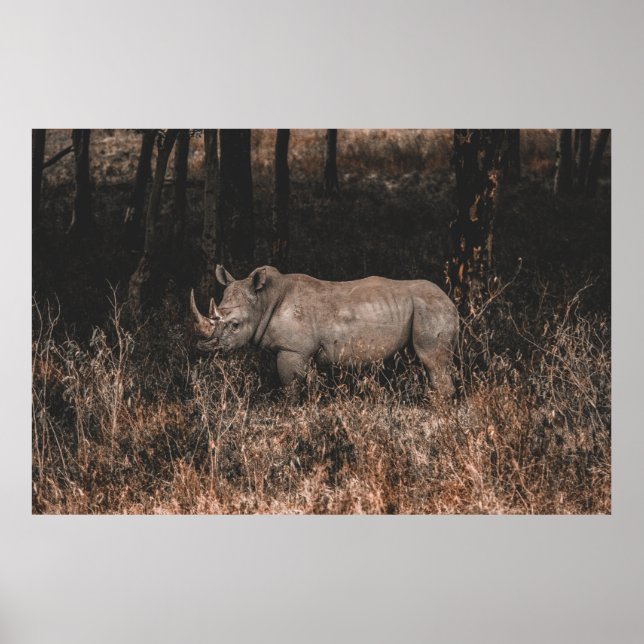 POSTER RHINO (Devant)