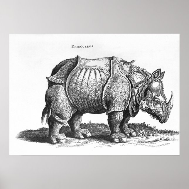 Poster Rhinoceros, de 'Historia Animalium' (Devant)