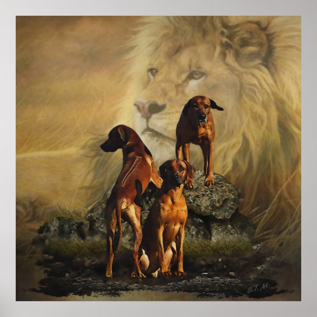 Poster Rhodesian Ridgeback avec Lion (Devant)