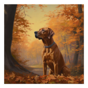 Poster Rhodesian Ridgeback dans les feuilles d'automne to
