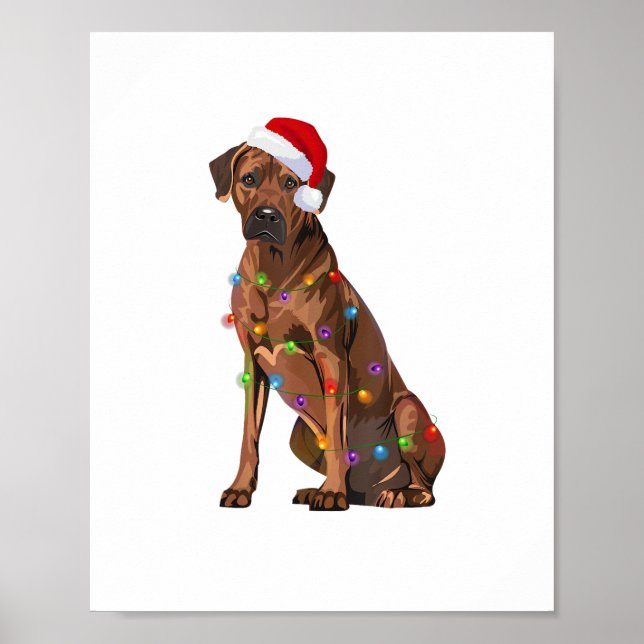 Poster Rhodesian Ridgeback Noël Lumières Noël Chien de No (Devant)