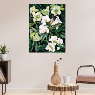 Poster Rhododendron de l'Inde du Nord