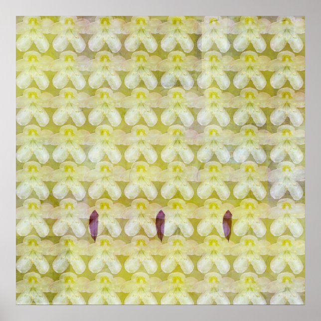 Poster Rhododendron Max (Devant)