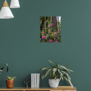 Poster Rhododendron rose dans une forêt Floral Photograph