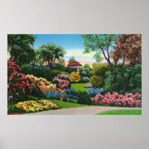 Poster Rhododendrons de Highland Park en fleur