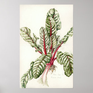 Poster Rhubarb Chard 1992