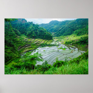 Poster Rice terrace landscape, Philippines