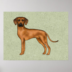 Poster Ridgeback Rhodésien Brun Lion Chien Dessin Animé V
