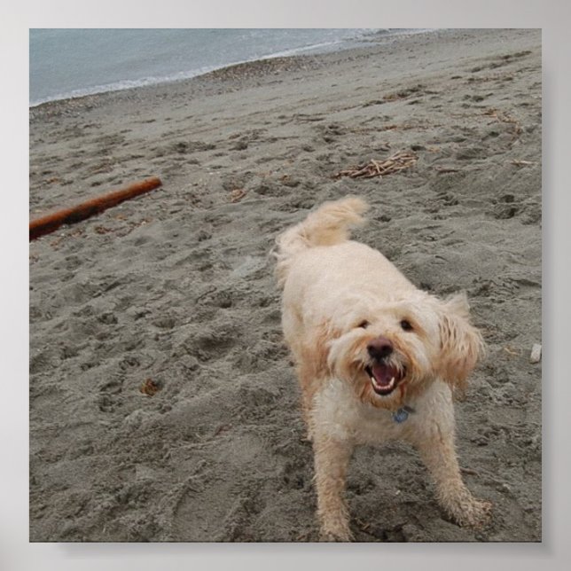 Poster rire2 (Devant)