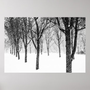 Poster ris I side with trees