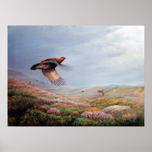 Poster 'Rising Grouse' - imprimer sur la toile (Devant)
