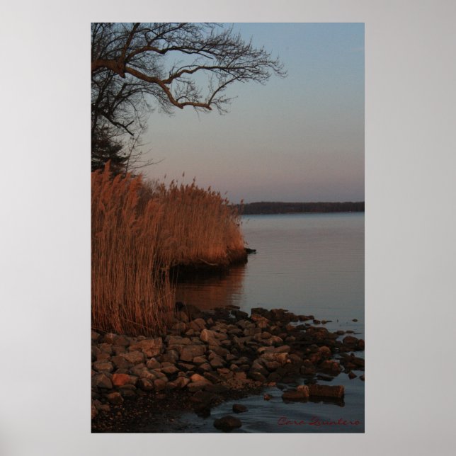 Poster Rive paisible (Devant)