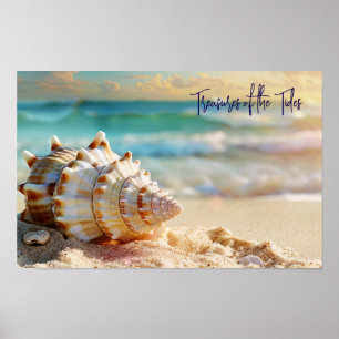 Poster Rive tranquille : Coquillage au bord de l'océan