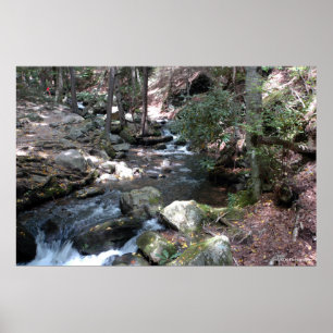 Poster Rivière de Bushkill dans le Poconos. copie 0086