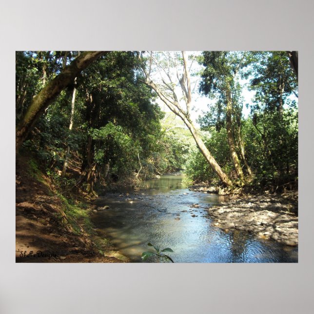 Poster Rivière de la paix et de la tranquillité (Devant)