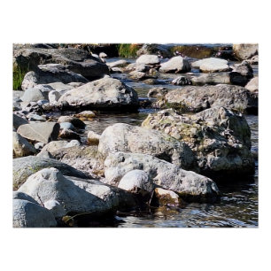 Poster Rivière de montagne des Carpates - Impression de n