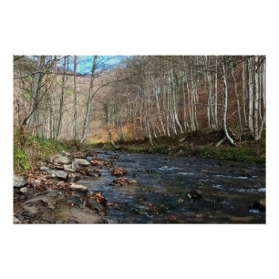 Poster Rivière de montagne en automne – Nature sauvage Ro