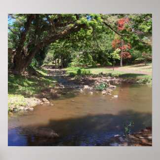 Poster Rivière de Serenity