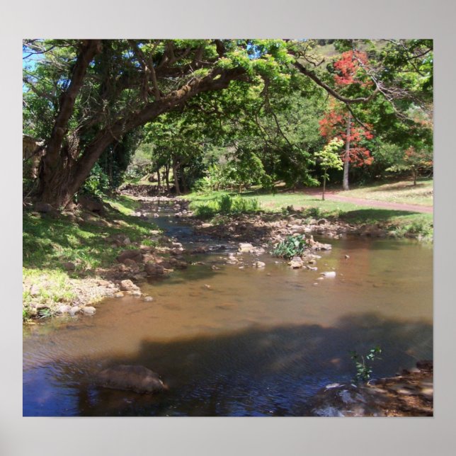 Poster Rivière de Serenity (Devant)