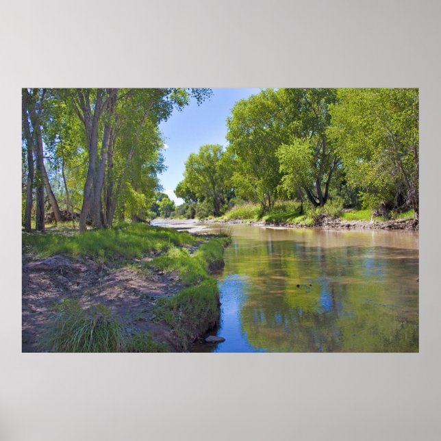 Poster Rivière San Pedro près de Fairbank (Devant)