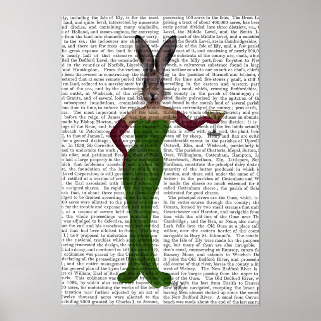 Poster Robe verte de lapin (Devant)