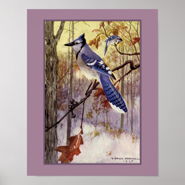 Poster Robert Bruce Horsfall Blue Jay Faux Matte (Devant)