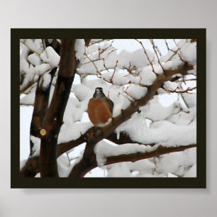 Poster Robin dans le noir