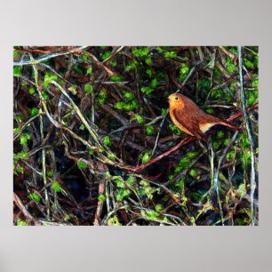 Poster Robin dans une haie