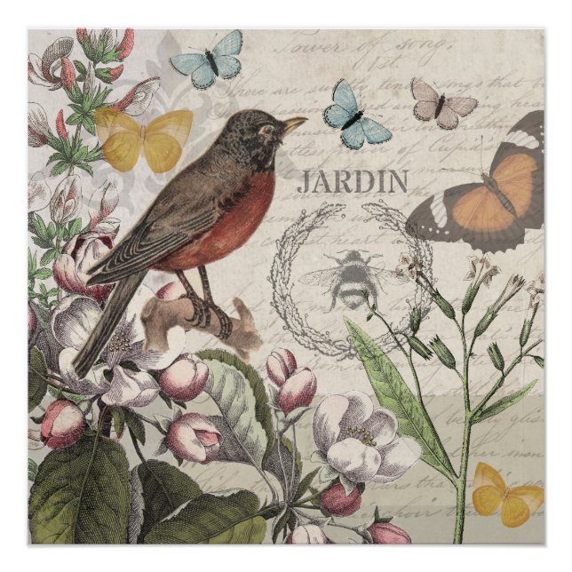 Poster Robin Elegant Bird Butterfly French Art (Devant)