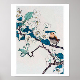 Poster Robin et fleurs de cerisiers, Imao Keinen