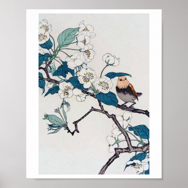 Poster Robin et fleurs de cerisiers, Imao Keinen (Devant)