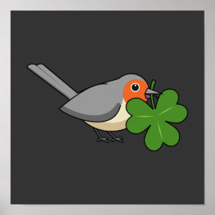 Poster Robin mignon avec Shamrock en caricature