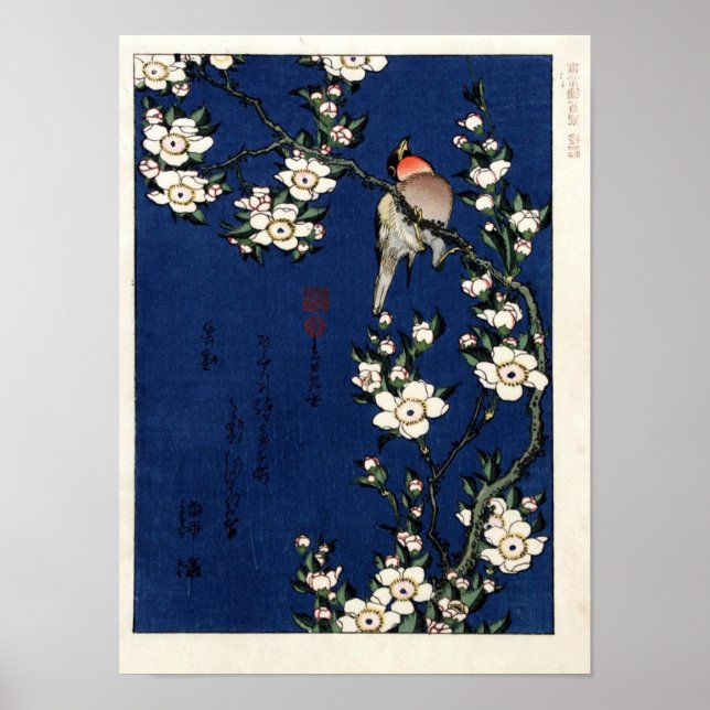 Poster Robin sur une branche de fleurs de cerisiers par K (Devant)