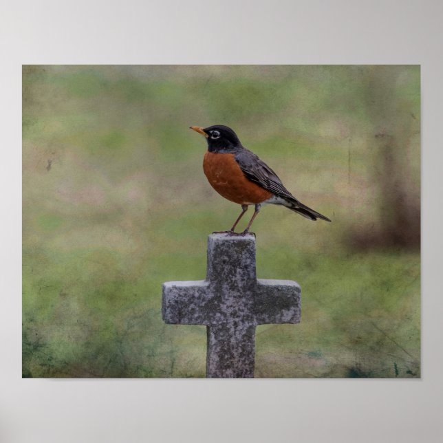 Poster Robin sur une croix (Devant)