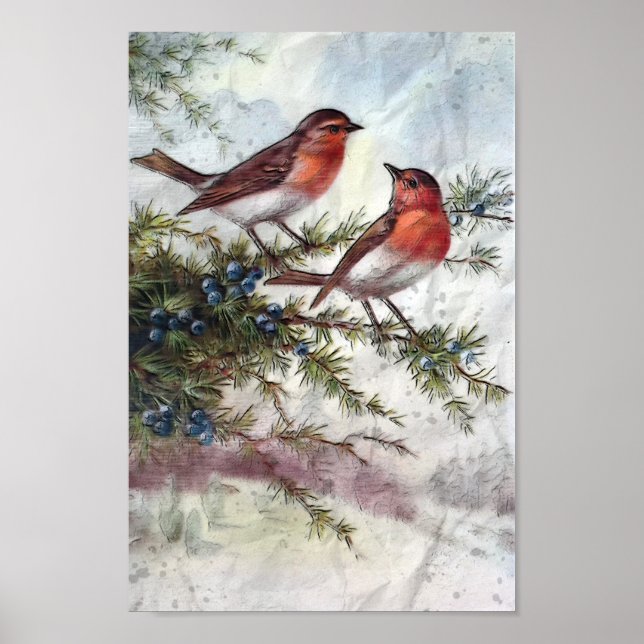 Poster Robins En Hiver (Devant)