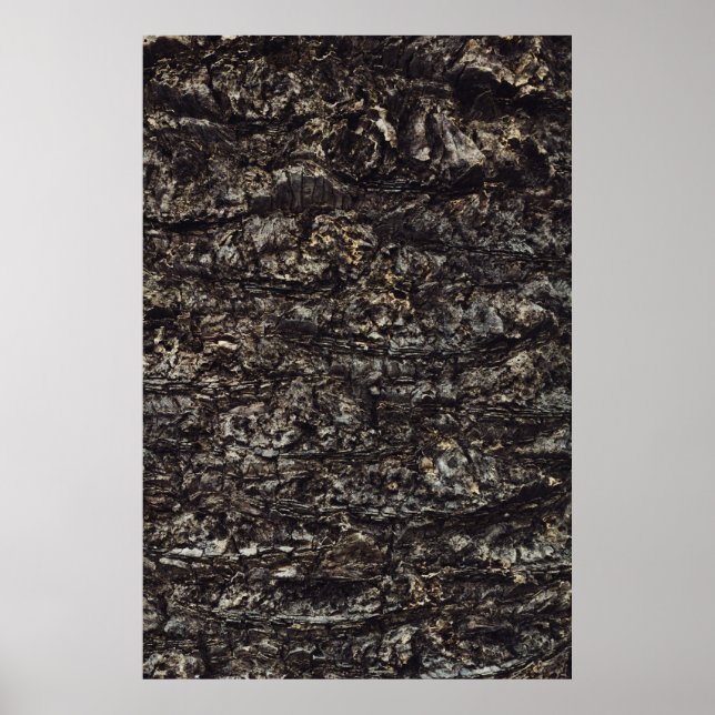 Poster Roche Brown (Devant)